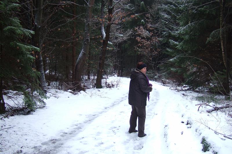 2009-12- (64).JPG - Die erste Schneewanderung: Nach Steina